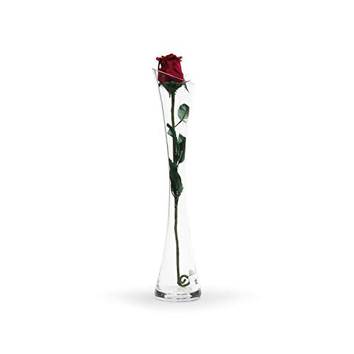 Bud Vase, Width 3&#x22;, Height 15.75&#x22;, Clear Tall Slant Cut Opening Gathering Concaved Glass Floral Container Centerpiece for Wedding Party Event Home Office Decor, 1 Piece