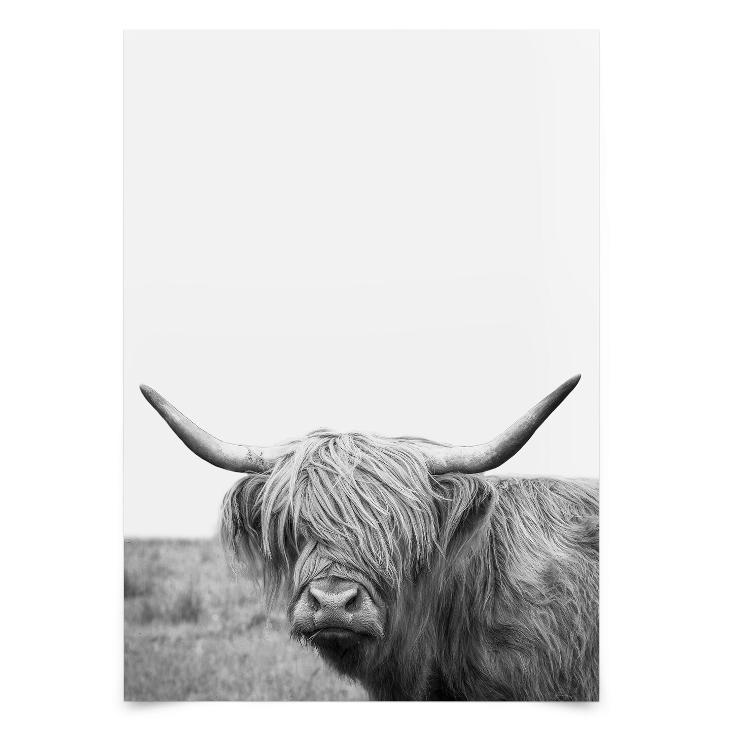 highland-cows-by-artvir-poster-americanflat-michaels