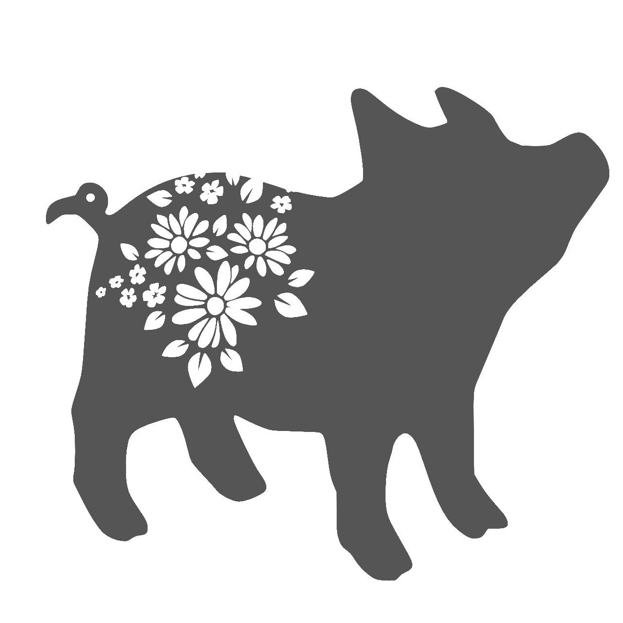 Intro to your Cricut machine