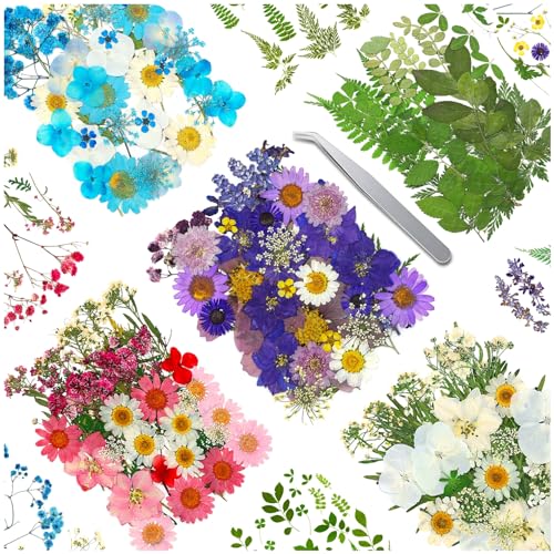 Homemaxs Pressed Flower Flowers Dried Nail Petals Art Craft Resin Crafts Plants Bouquet Fake Artificial Preserved Stickers Decals, Size: 14.5X10.5CM