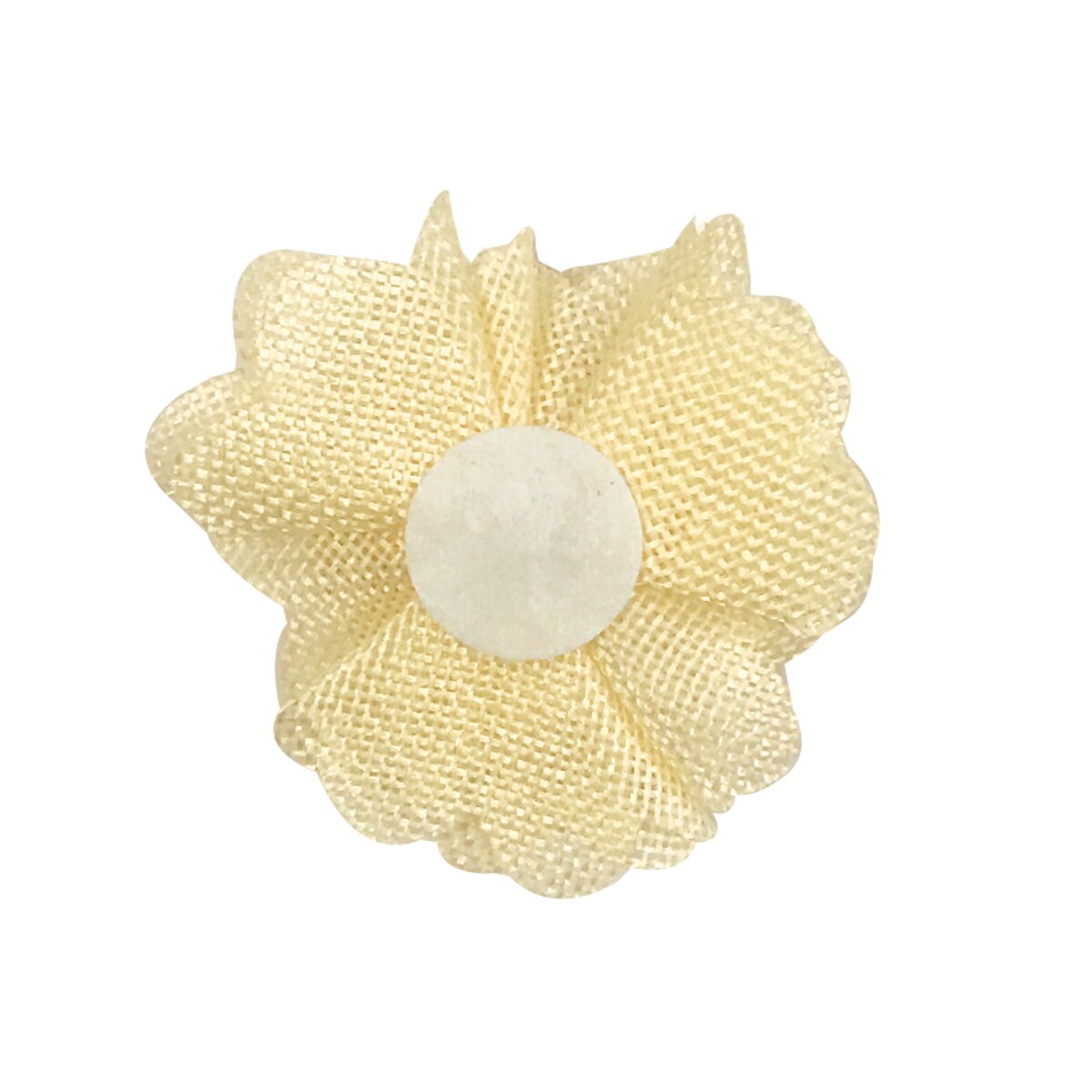 Wrapables Shabby Chic Burlap Rose Flower 3 Inch Diameter (Set of 12), Champagne