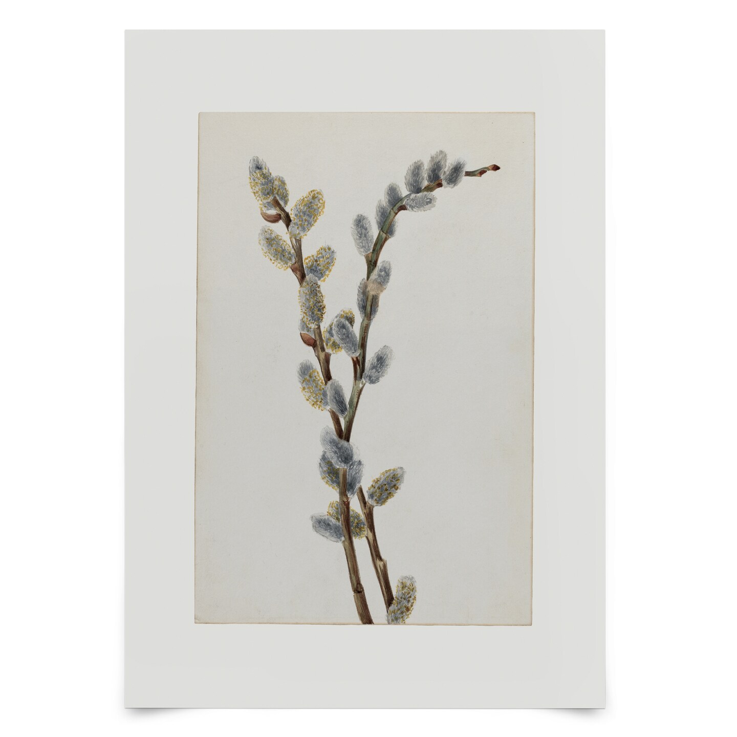 Willow Branch by Maple + Oak Poster Americanflat Michaels