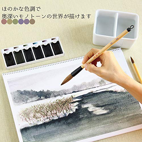 E-Sumi Watercolor Paint 6 Colors Set from Japan (Standard)
