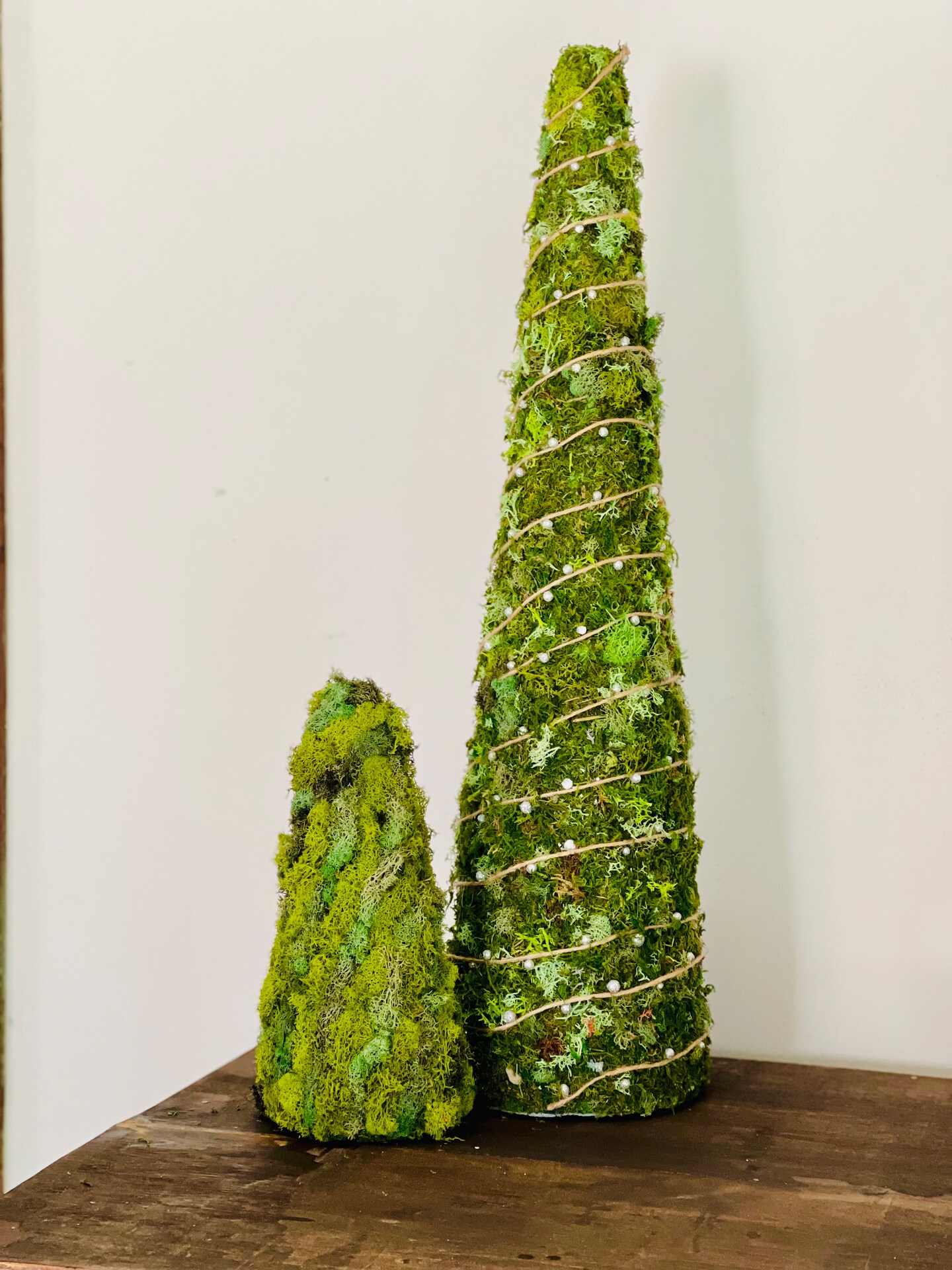 Christmas Tree Display, Moss Art Holiday Trees, Preserved Moss Art