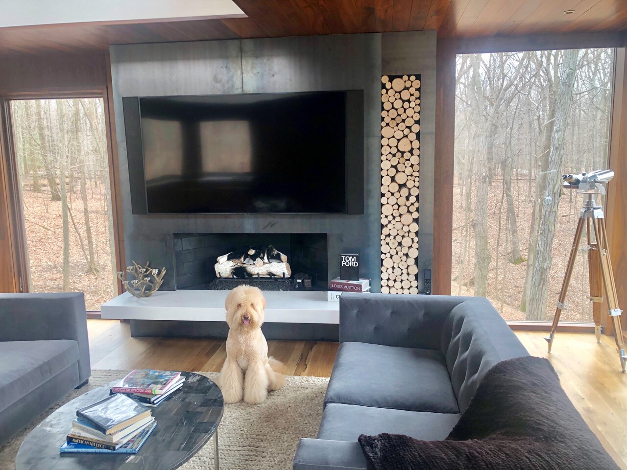 Wilson 7"-9" Decorative White Birch Fill-A-Space Logs, Natural Home Decor - 1.5"-4" Dia. (1 SQ. FT)