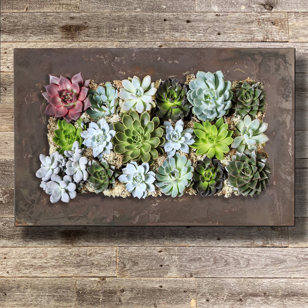 Living Wall Galvanized Steel Zinc Succulent Planter - Wall Mounted Garden  Pocket Planter - 3 Colors - 5 Sizes | MakerPlace by Michaels