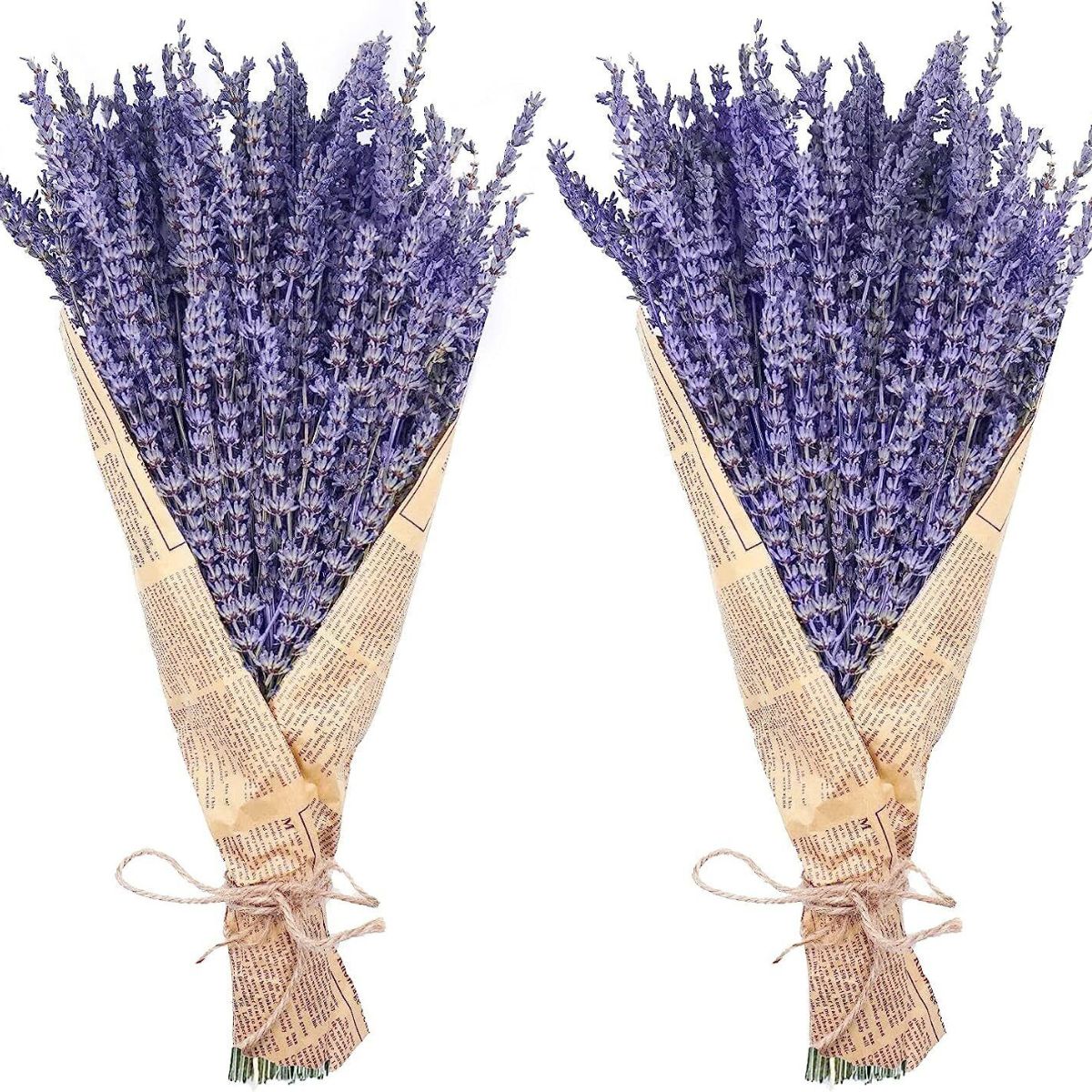 16 Inches Natural Lavender Dried Flowers 2 pcs