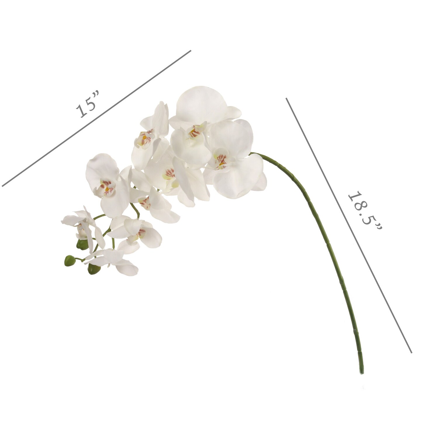 4-Pack: Real Touch White Phalaenopsis Orchid Stem, Floral Home by Artificial Flowers
