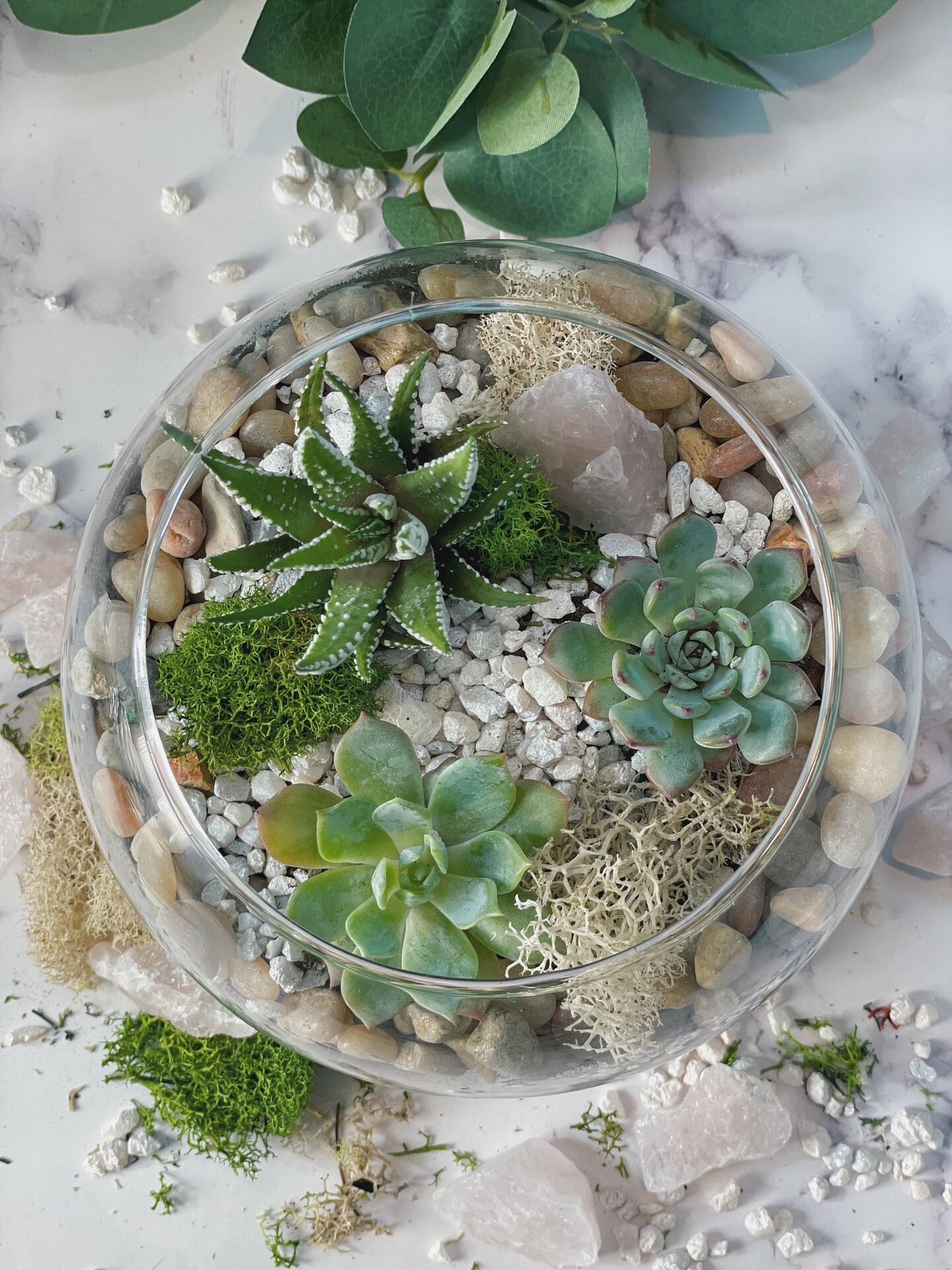 DIY Rose Quartz Terrarium Kit