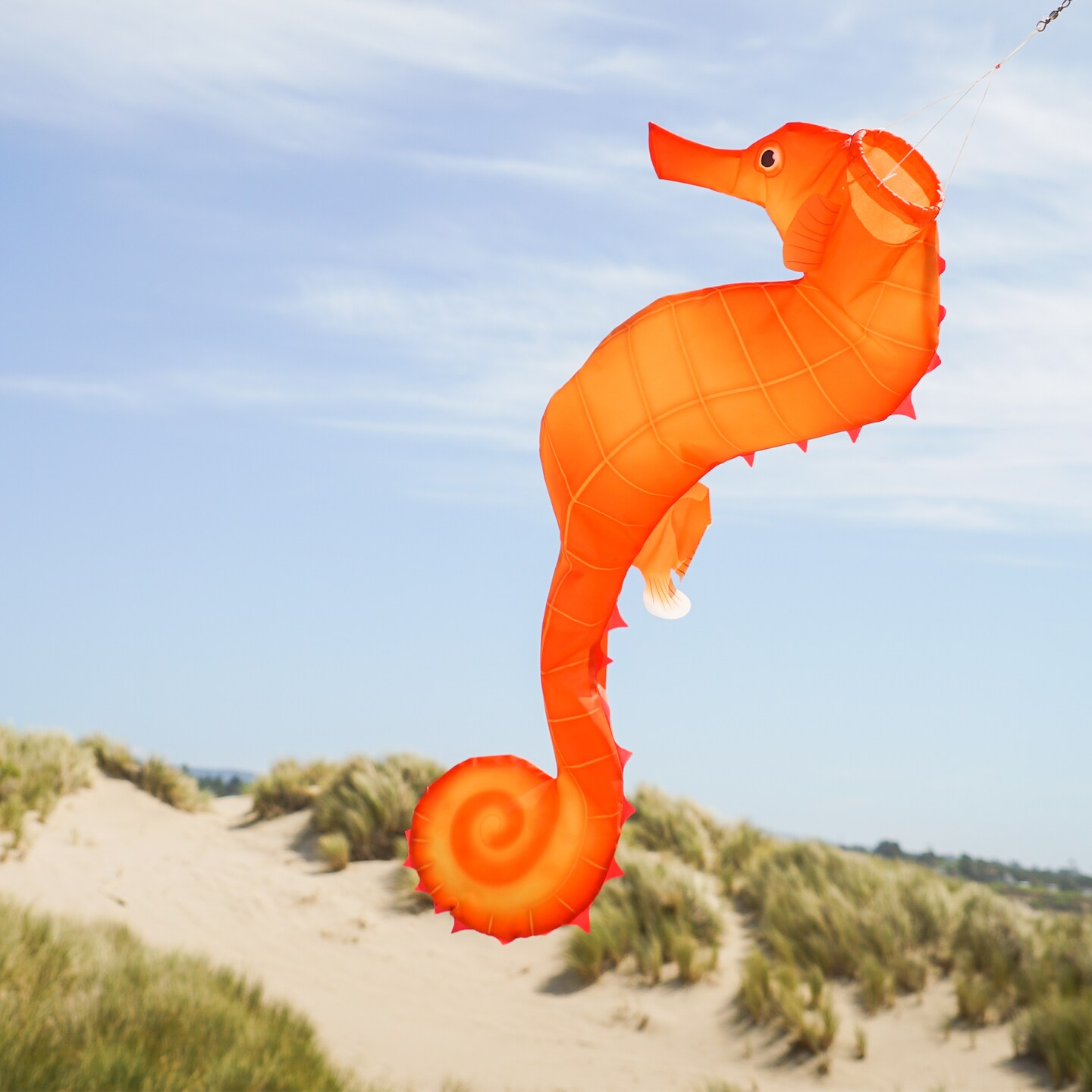In the Breeze 5207 — 40-inch Seahorse 3D Windsock — Realistic Sea Life Windsock for Homes, Gardens, Classrooms with Brightly Printed Graphics