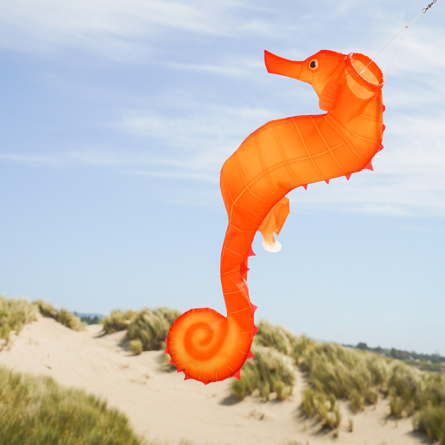 In the Breeze 5207 &#x2014; 40-inch Seahorse 3D Windsock &#x2014; Realistic Sea Life Windsock for Homes, Gardens, Classrooms with Brightly Printed Graphics