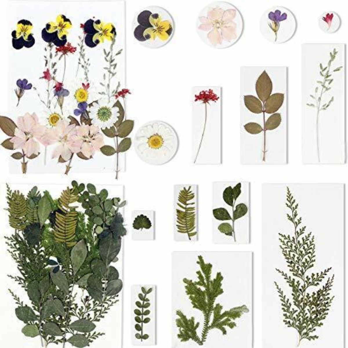 Resin Real Dried Flower 100 pcs