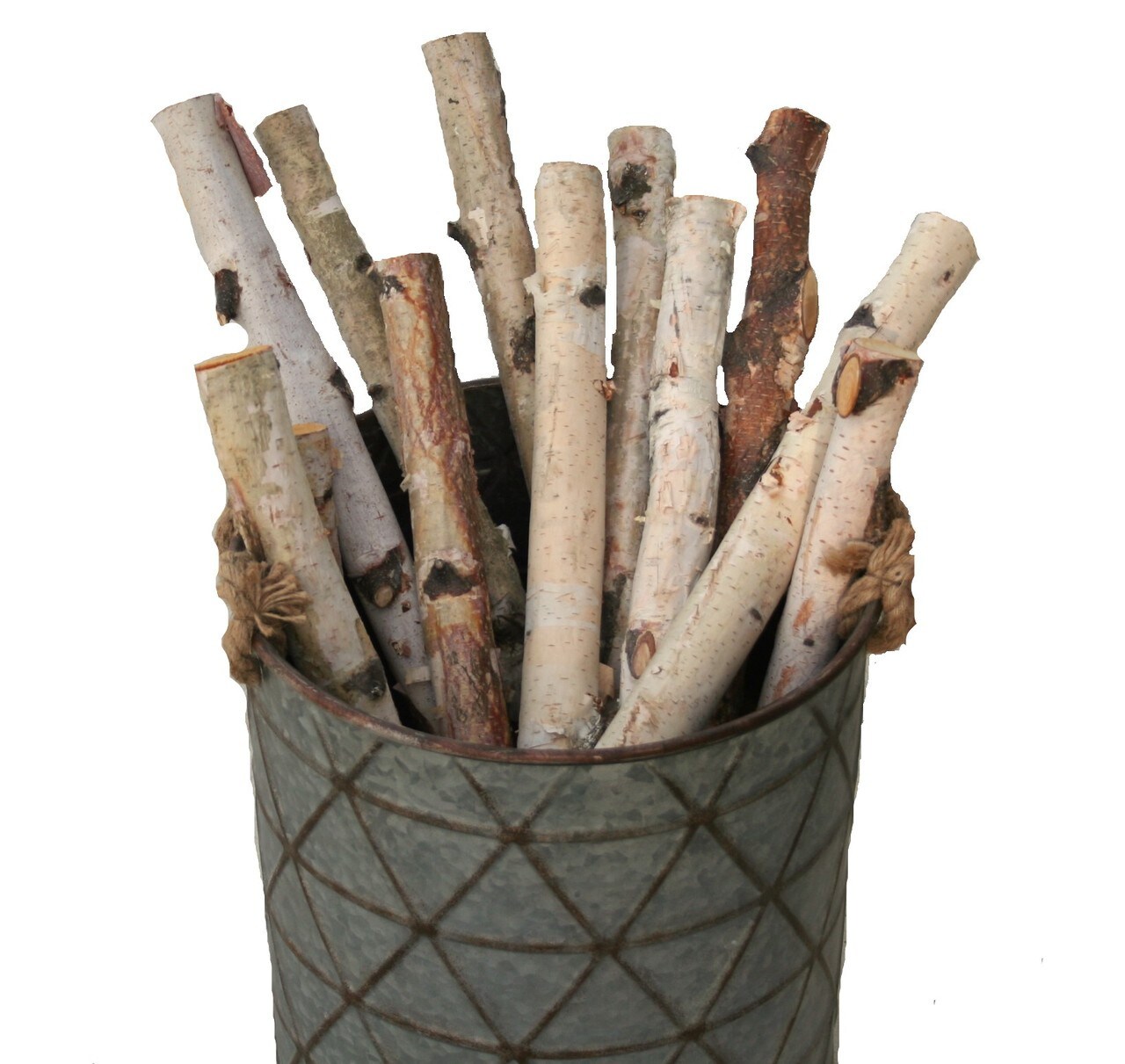 Wilson Decorative White Birch Logs, Natural Bark Wood Home Decor (Set of 12) - 15.5&#x22;-17.5&#x22; Length 1&#x22;-1.5&#x22; Dia.
