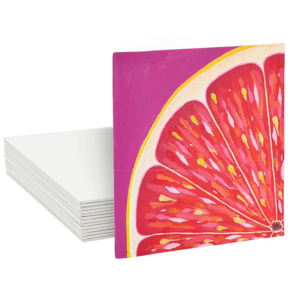 14 Pack Art Canvases for Painting