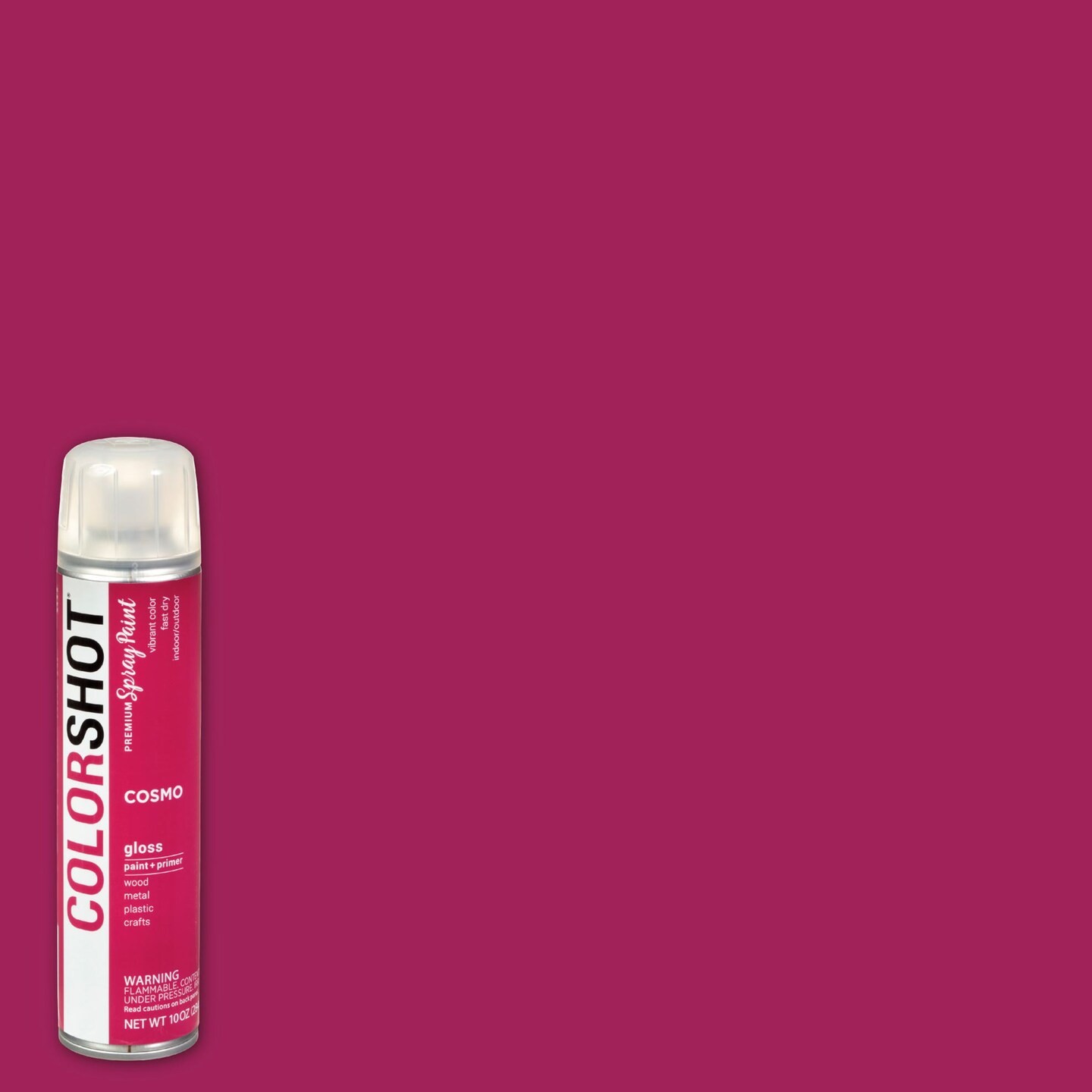 COLORSHOT Gloss Spray Paint Cosmo (Fuchsia) 10 oz. 4 Pack