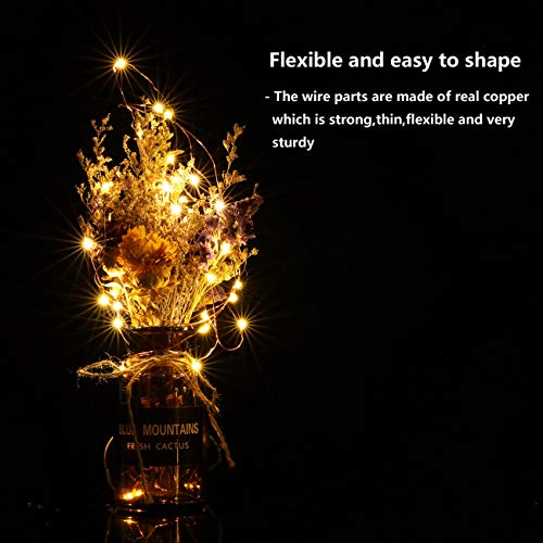 LEDIKON 20 Pack LED Fairy Lights Battery Operated String Lights - 3.3ft 20 LED,Copper Wire Warm White | Wedding,Party Centerpieces,Table Decor | DIY Crafts,Graduation,Home Decor | Mason Jars D&#xE9;cor