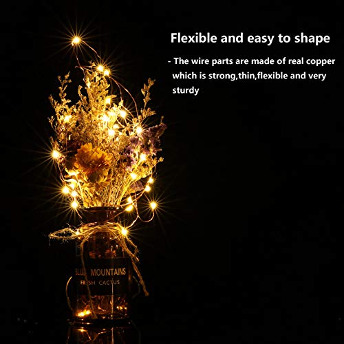 20 Pack LED Fairy Lights Battery Operated String Lights - 3.3ft 20 LED,Copper Wire Warm White | Wedding,Party Centerpieces,Table Decor | DIY Crafts,Graduation,Home Decor | Mason Jars Décor
