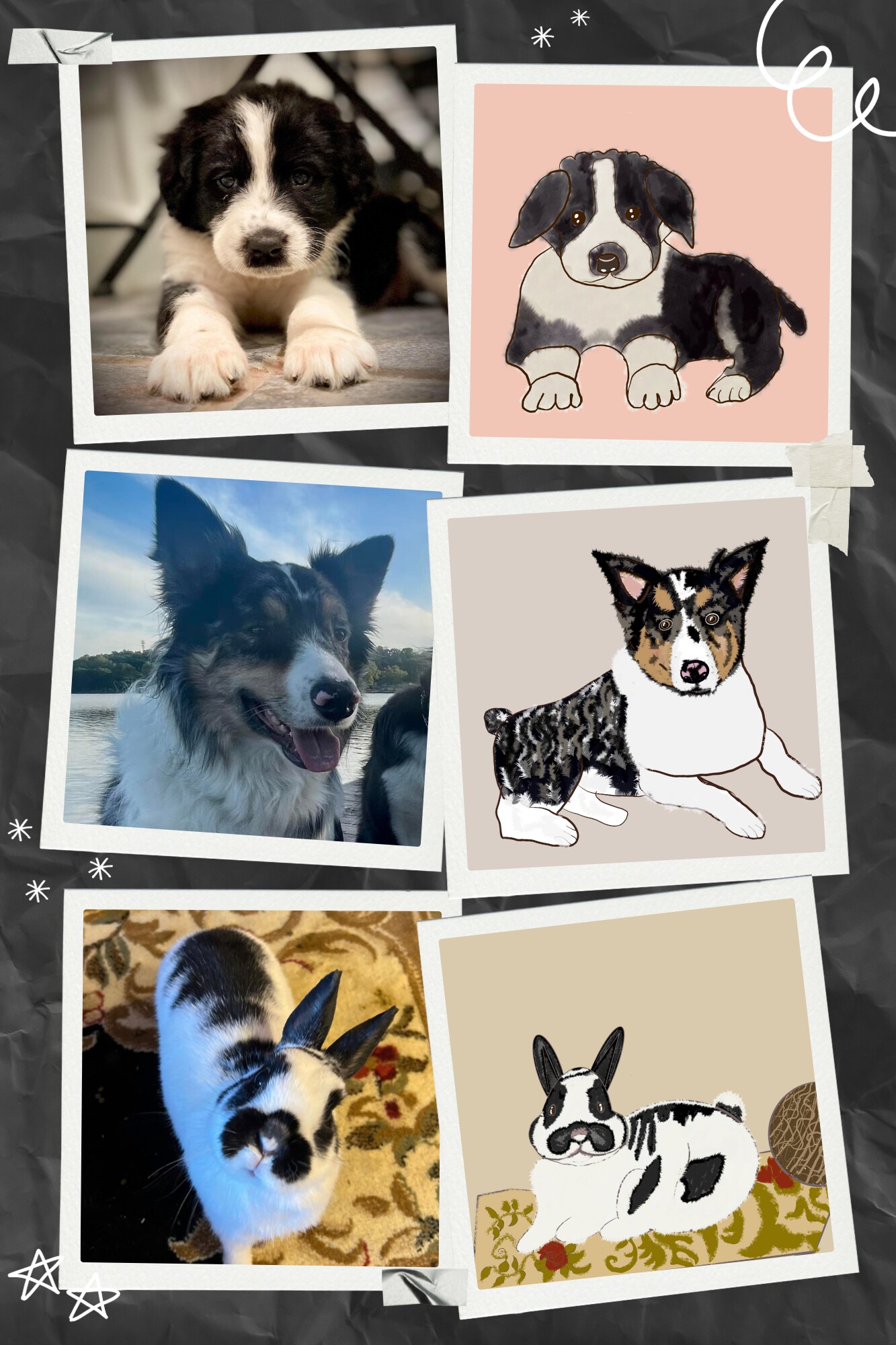 Custom doodle pet portrait - art commission 281596364671352840