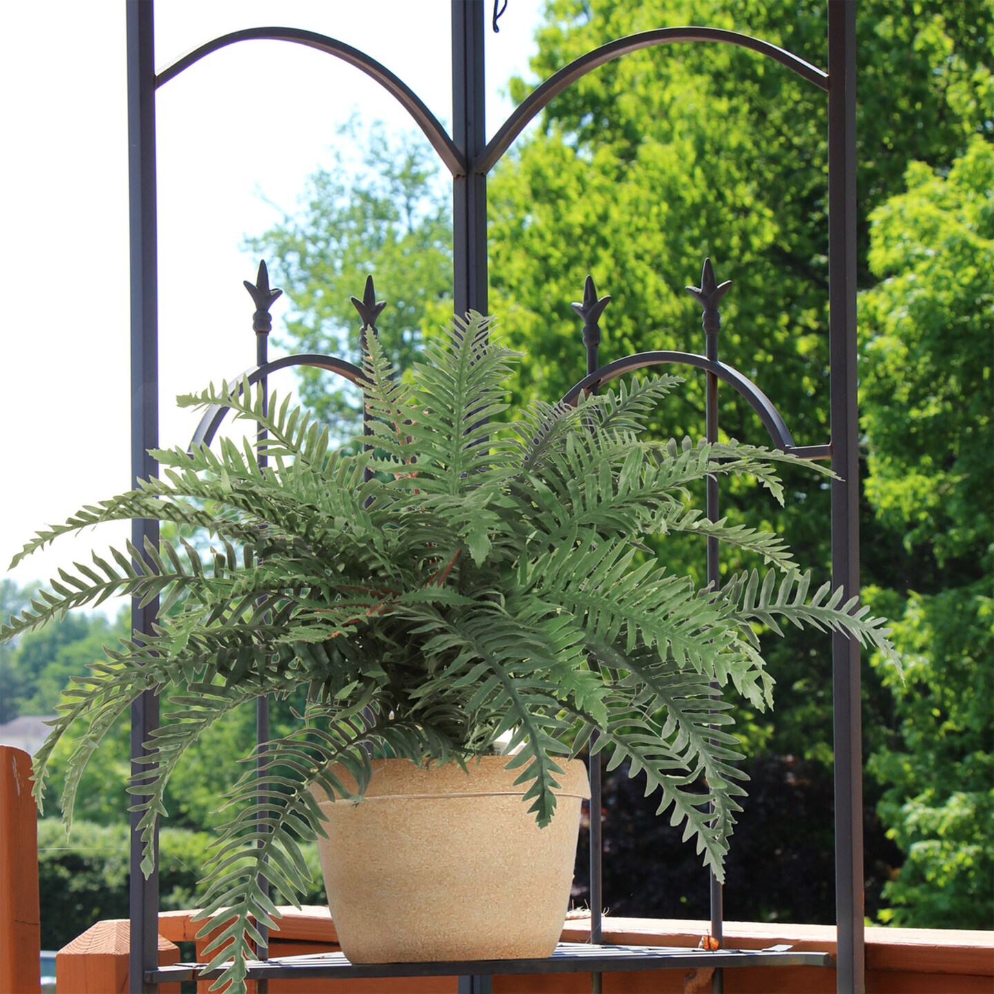 12-Pack: River Fern Plant with 30 Silk Fronds, 32&#x22; Wide, Floral Home by Artificial Flowers