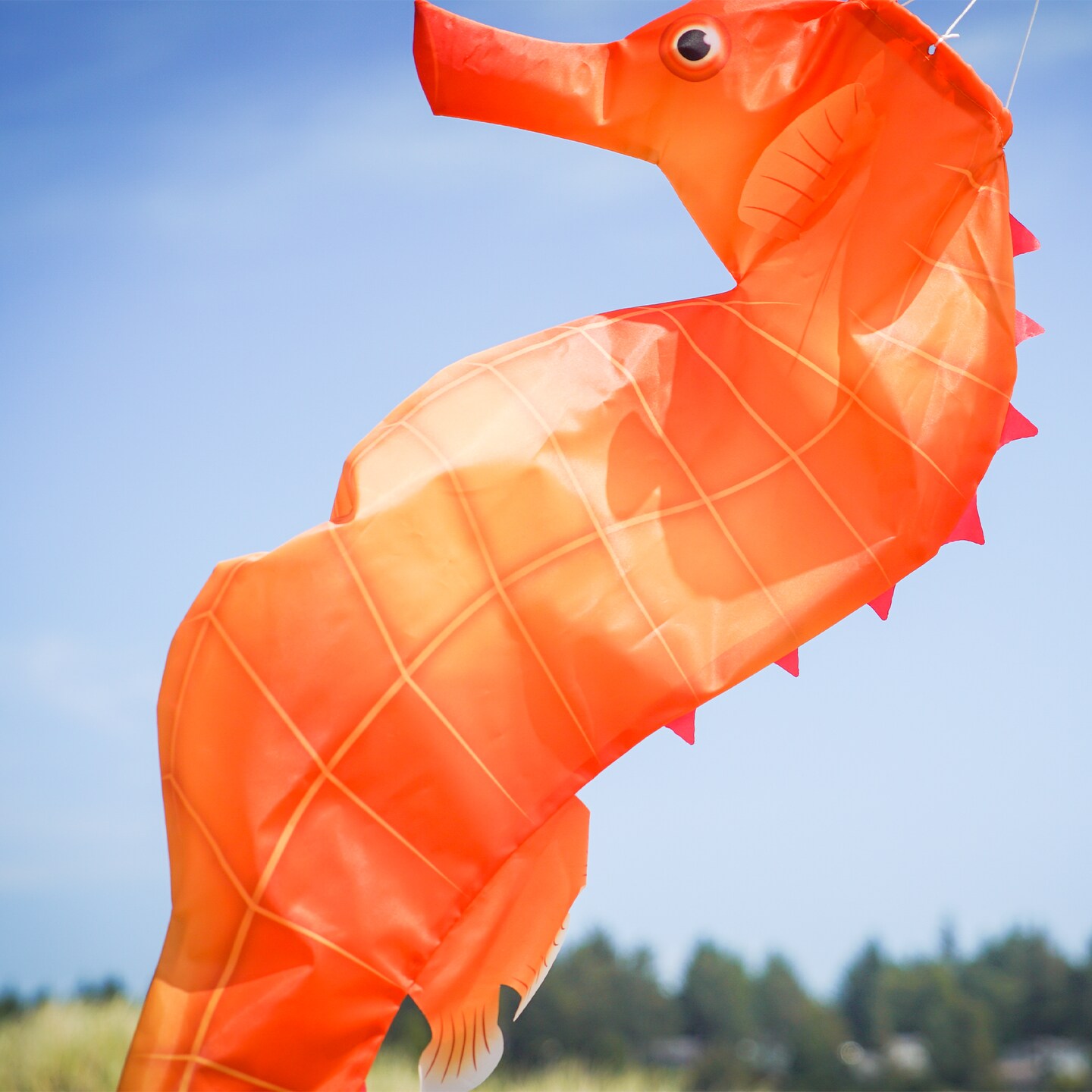 In the Breeze 5207 — 40-inch Seahorse 3D Windsock — Realistic Sea Life Windsock for Homes, Gardens, Classrooms with Brightly Printed Graphics