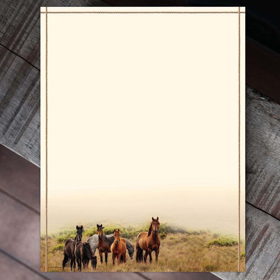 Great Papers! Horse Meadow Stationery Letterhead, Invitations and Announcements, Printer Friendly, 8.5"x11", 80 Pack