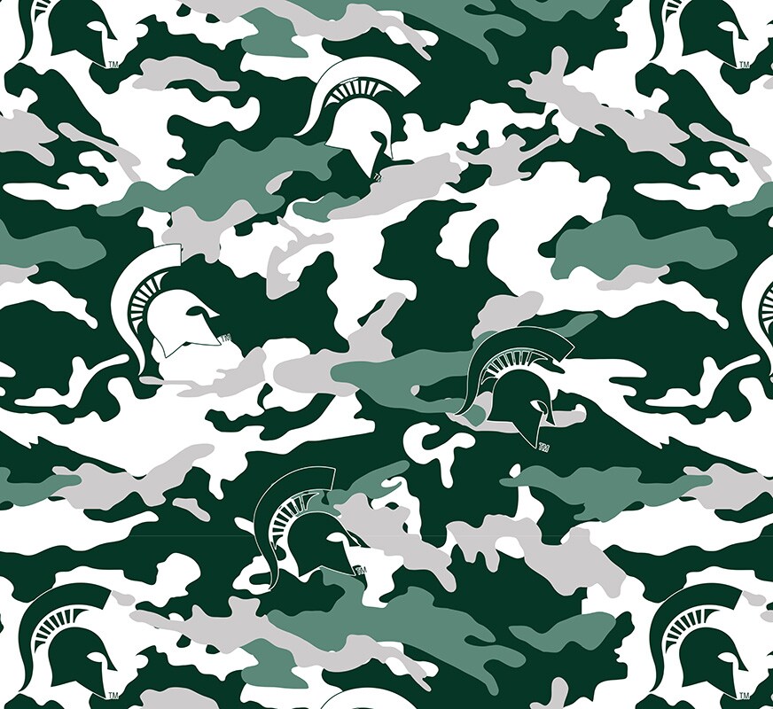 Michigan state fleece discount blanket