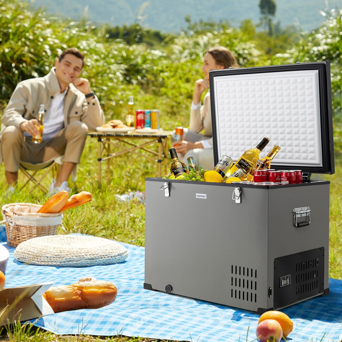 Portable Car Refrigerator with DC and AC Adapter