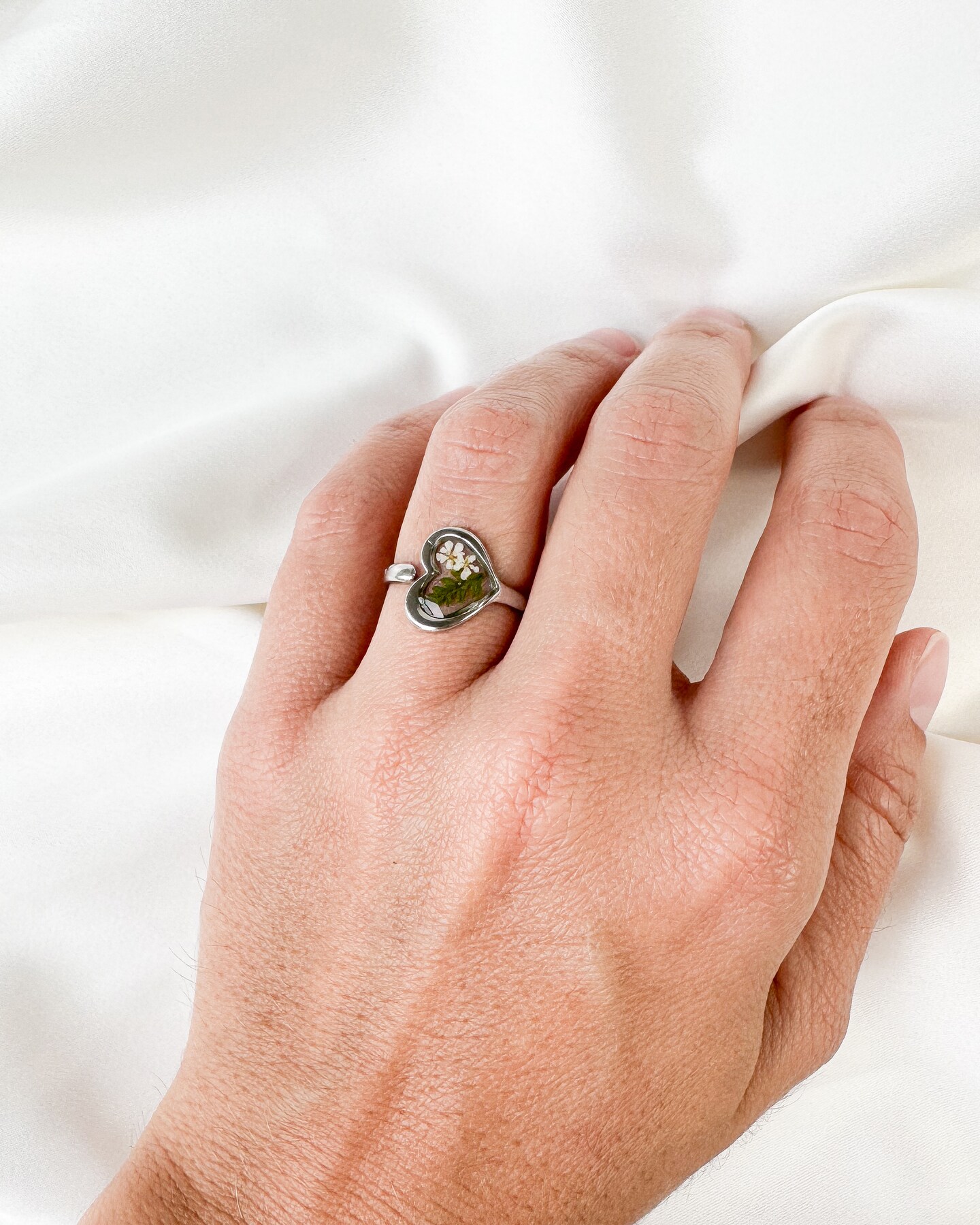 Fern Adjustable fern fairy Plant mom fern Nature