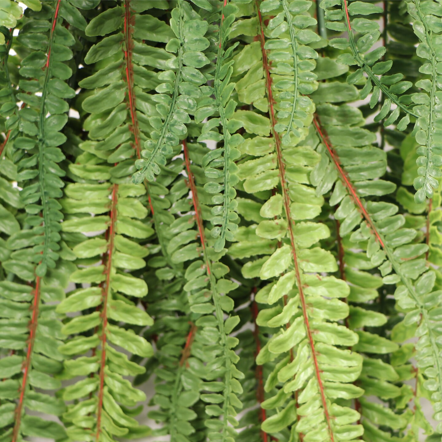 12-Pack: 30&#x22; UV Realistic Fern Hanging Bush with Silk Fronds by Floral Home&#xAE;