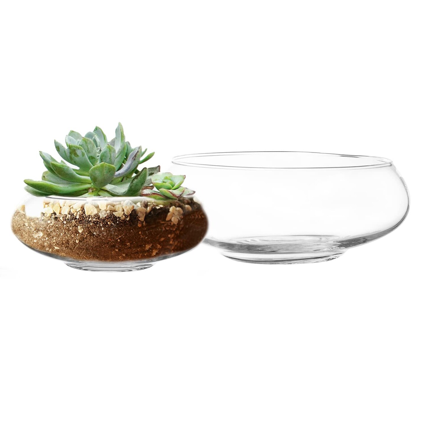2 Pieces Flower Glass Vase, Bowl Terrarium Succulent Planter, Air Plant Hydroponic Display, Floating Candles Decorative Centerpiece Floral Container for Home or Wedding , Clear