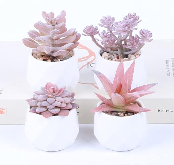 Succulent Artificial Plants Fake Succulents in White Ceramic Pots Small Fake Plants for Office Desk Home Decor