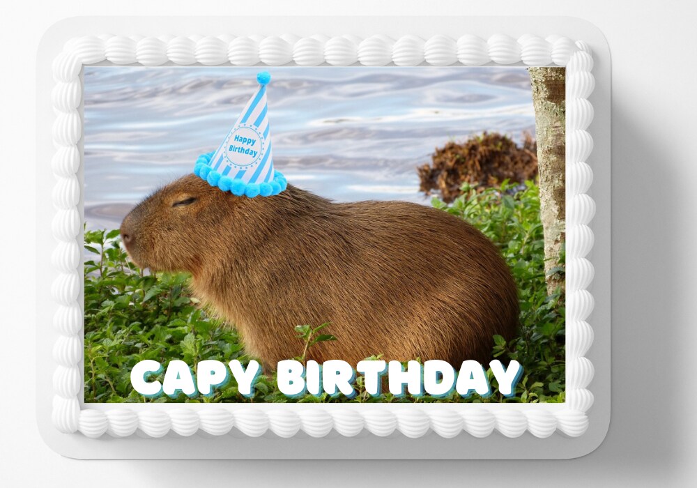 Capy Birthday Capybara Theme Edible Image Birthday Party Edible Cake Topper  Frosting Sheet Icing Frosting Edible Sticker | MakerPlace by Michaels