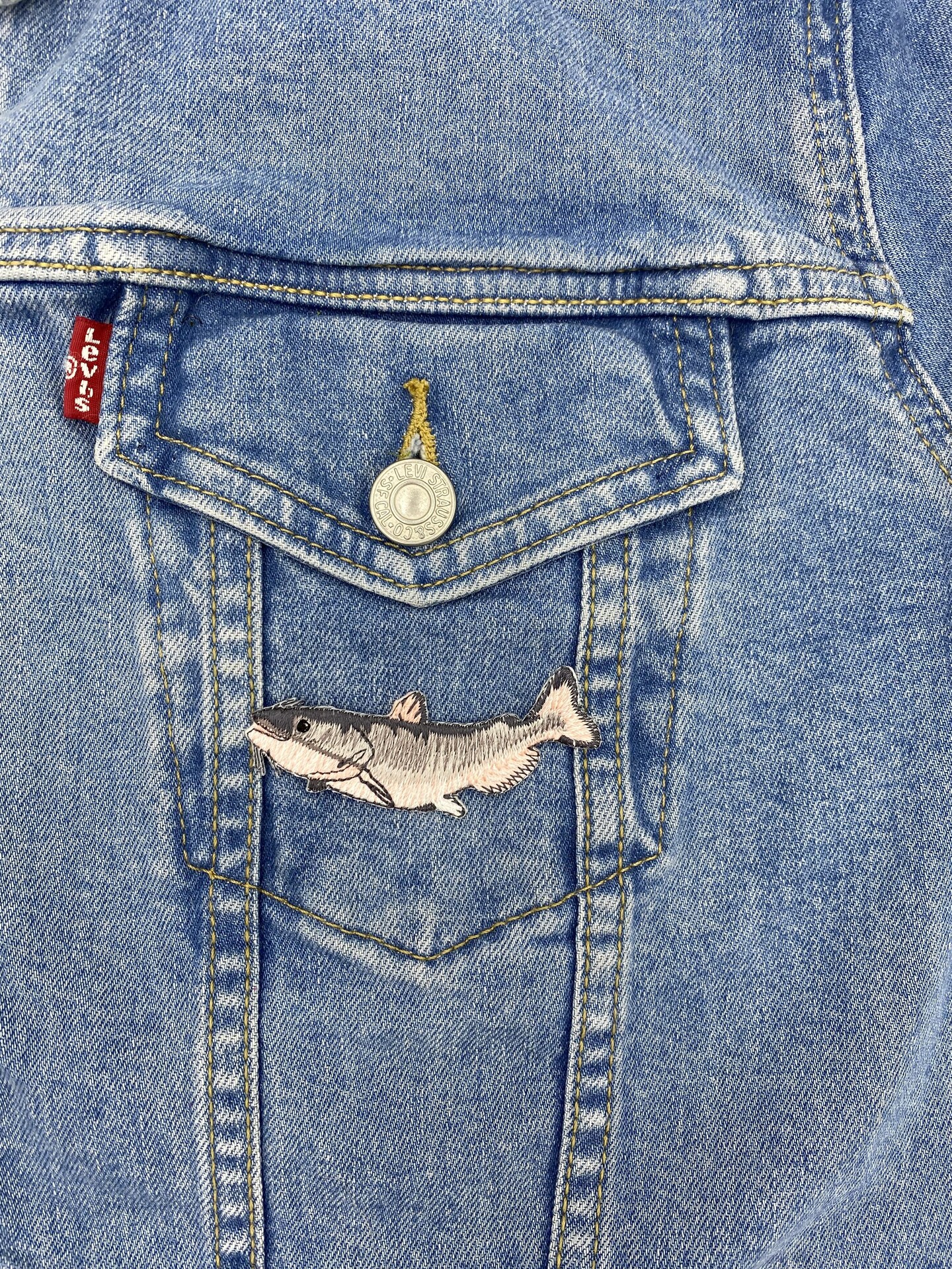 Catfish, Fishing, Embroidered, Iron on Patch