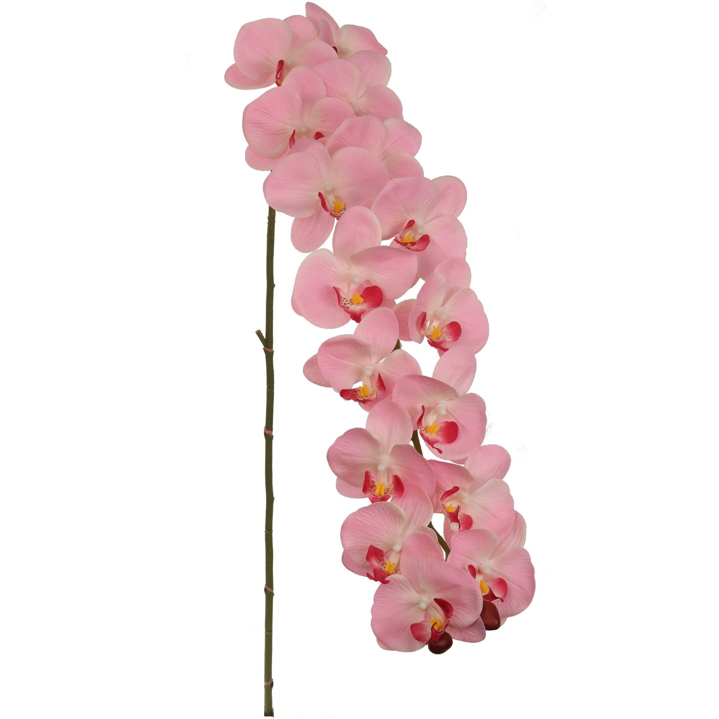49&#x22; Massive Pink Phalaenopsis Orchid Stem, 16 Realistic Silk Flowers &#x26; Lush Green Buds, Fake Orchids, Parties &#x26; Events, Home &#x26; Office Decor