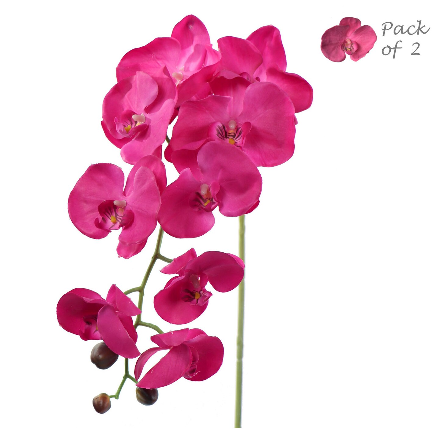 2 Vibrant Fuchsia Phalaenopsis Orchid Stems - 33.5-Inch - Event &#x26; Home Decor