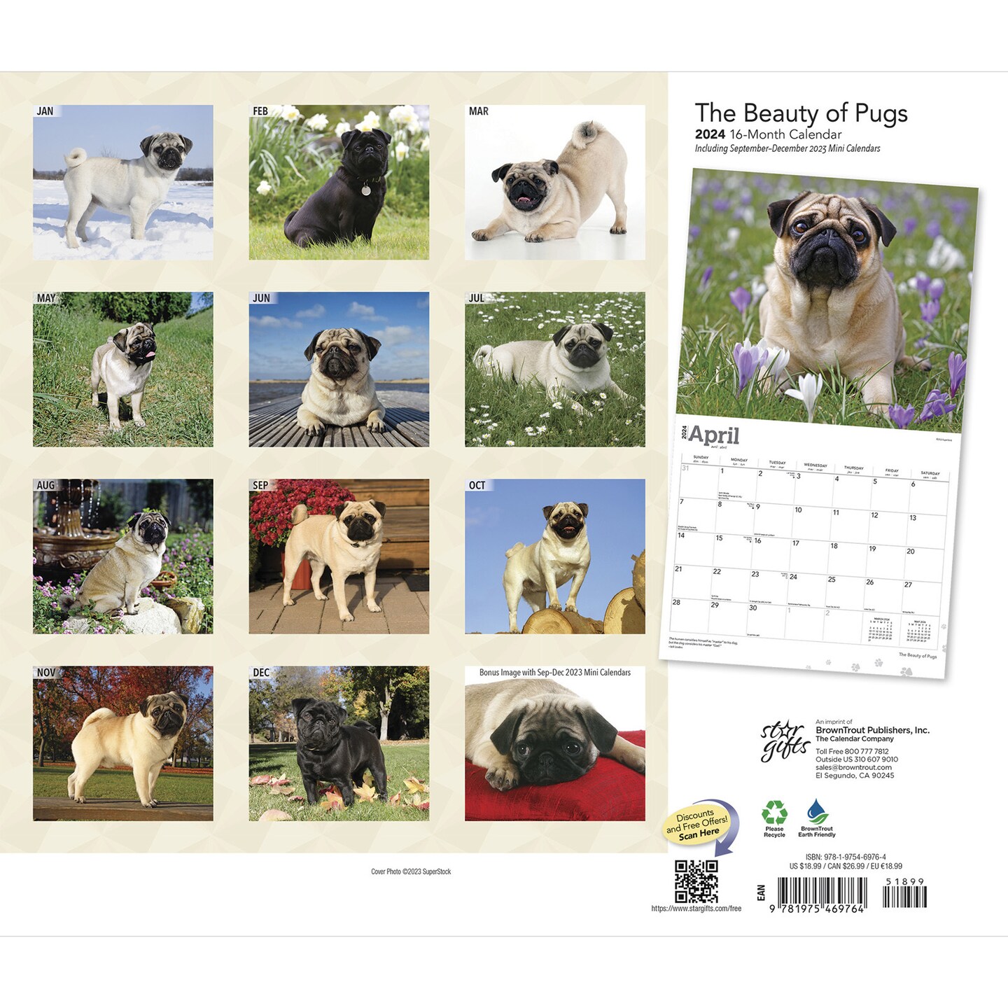The Beauty of Pugs | 2024 14 x 24 Inch Monthly Deluxe Wall Calendar | Sticker Sheet | StarGifts | Animals Dog Breeds