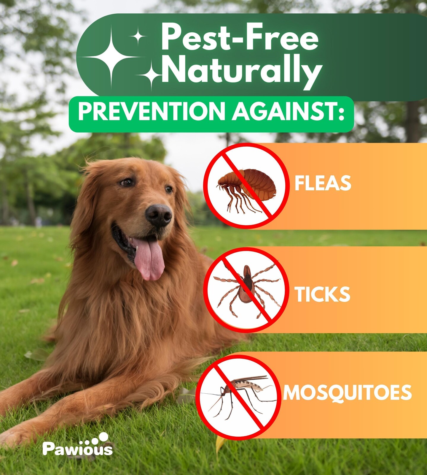 Flea and Tick Prevention for Dogs Chewables Natural Dog Flea and Tick Control Supplement Flea & Tick Chews for Dogs Oral Flea Pills for Dogs Pest Defense All Life Stages Made in USA