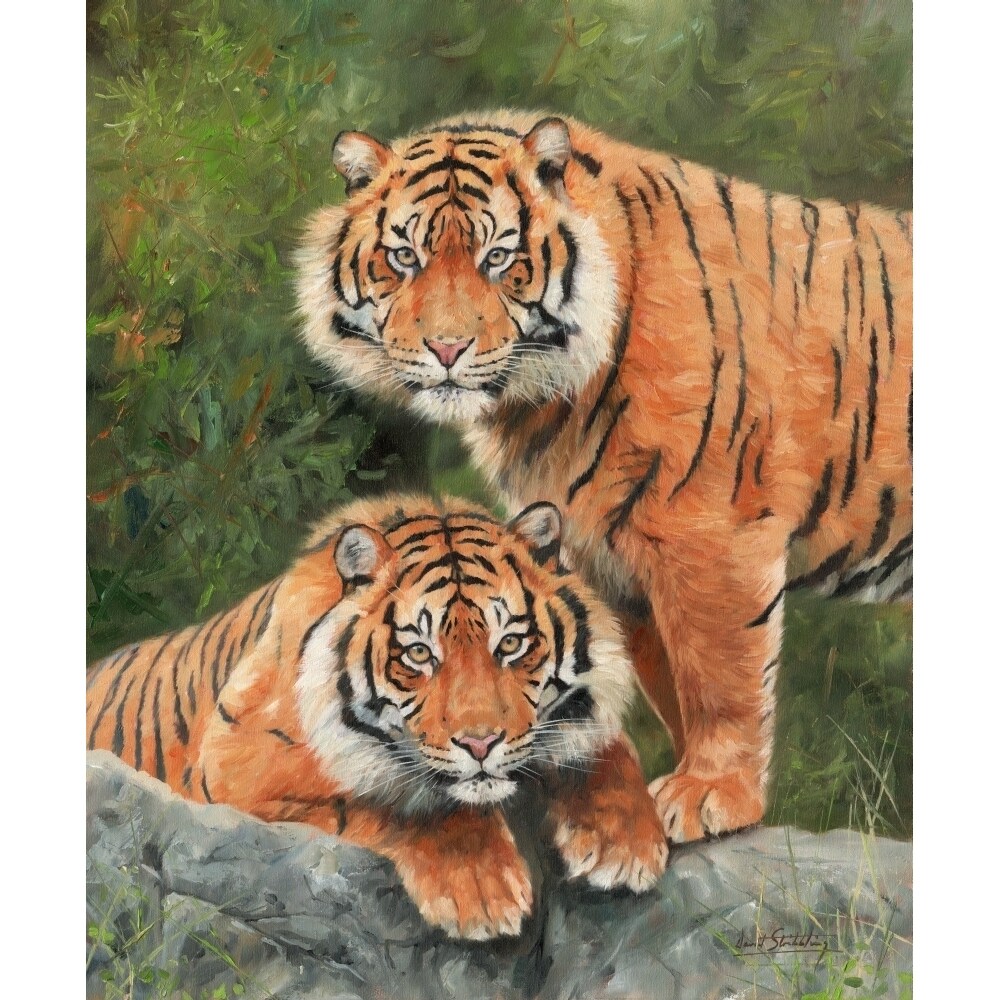 Posterazzi Pair of Sumatran Tigers. Oil on canvas Poster Print by David Stribbling