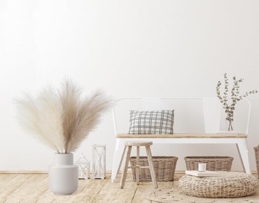 Pampas Grass: Elegant Decor for Home and Wedding Decor