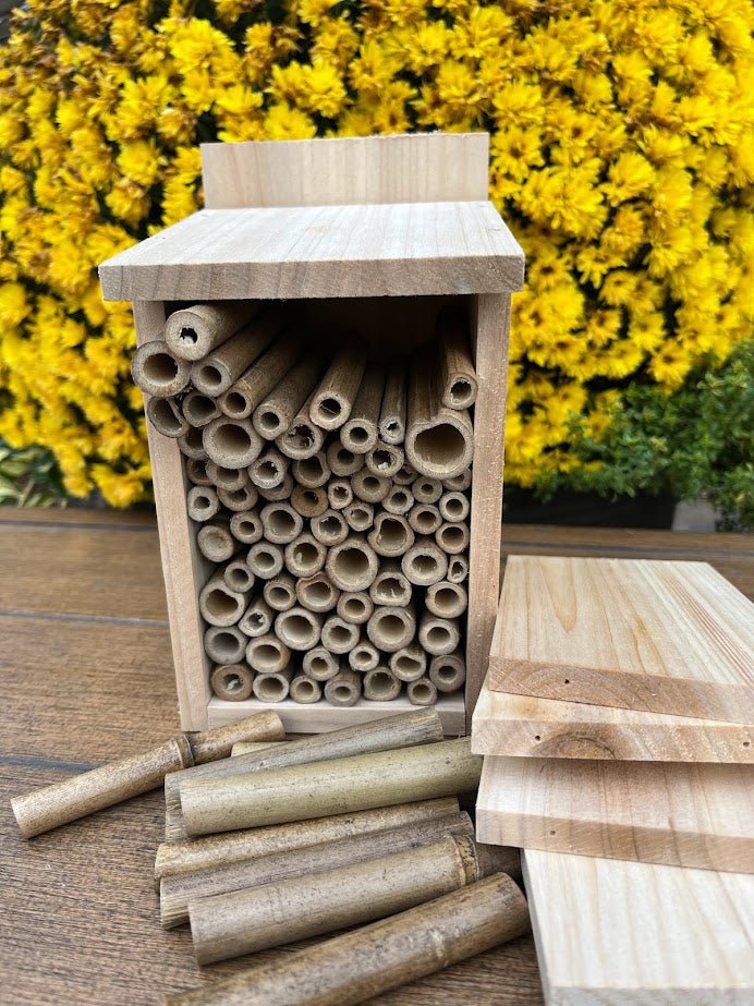 Kids DIY Pollinator House Kit