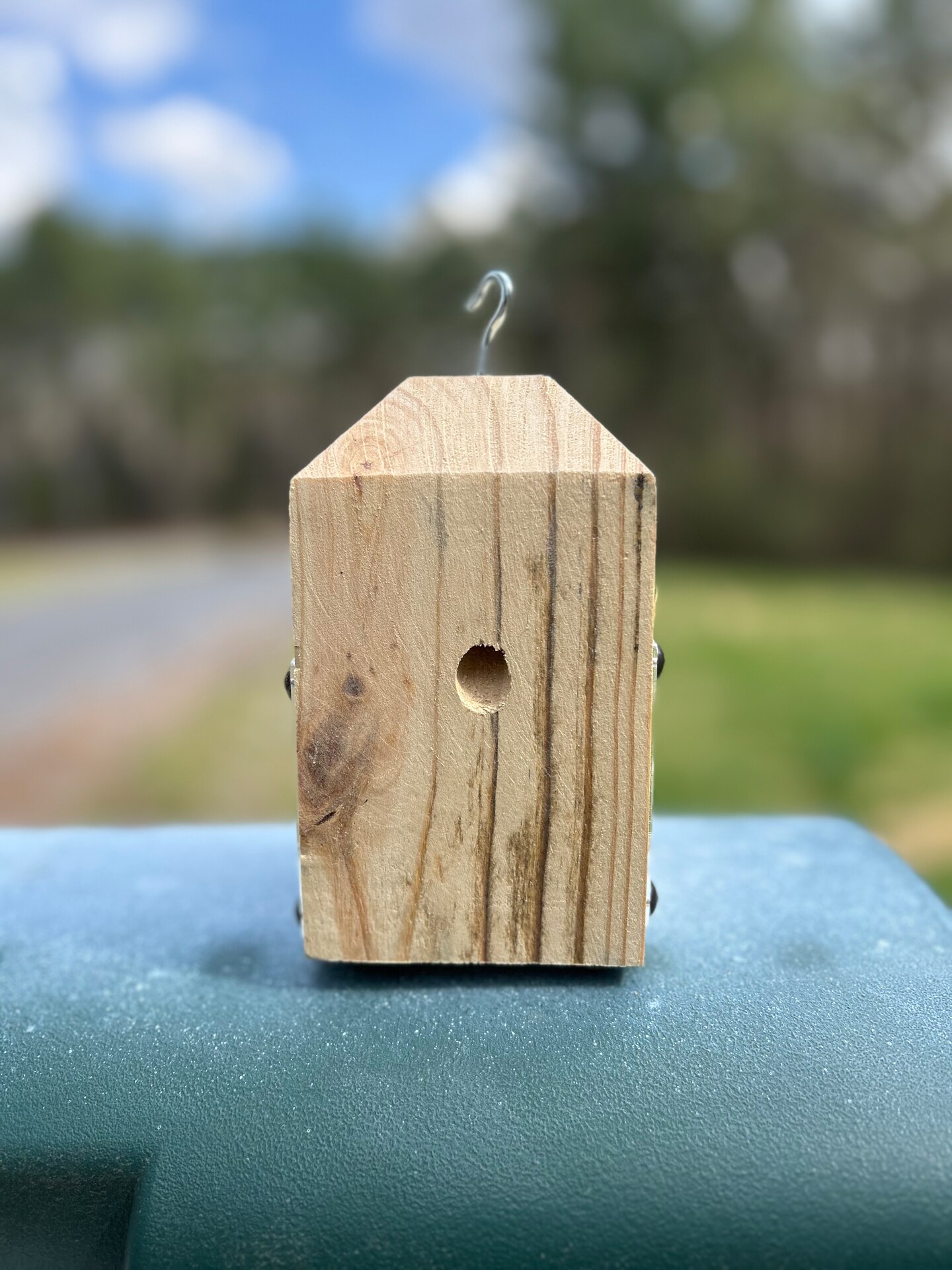 BEEHIVE（蜂の巣）　カイフランク 37225557637392.jpg