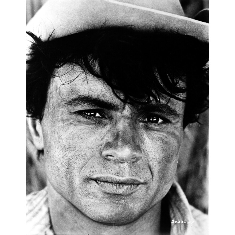 Posterazzi Robert Blake Photo Print