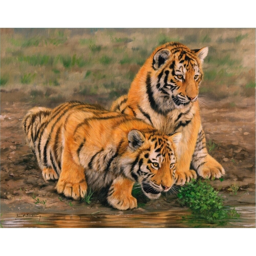 Posterazzi Two Tiger Cubs Poster Print by David Stribbling