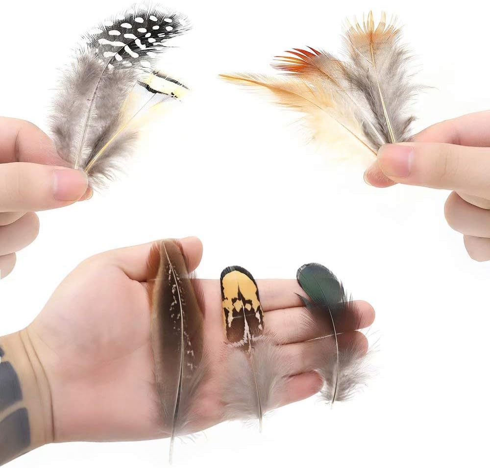 Natural Assorted Mixed Feathers