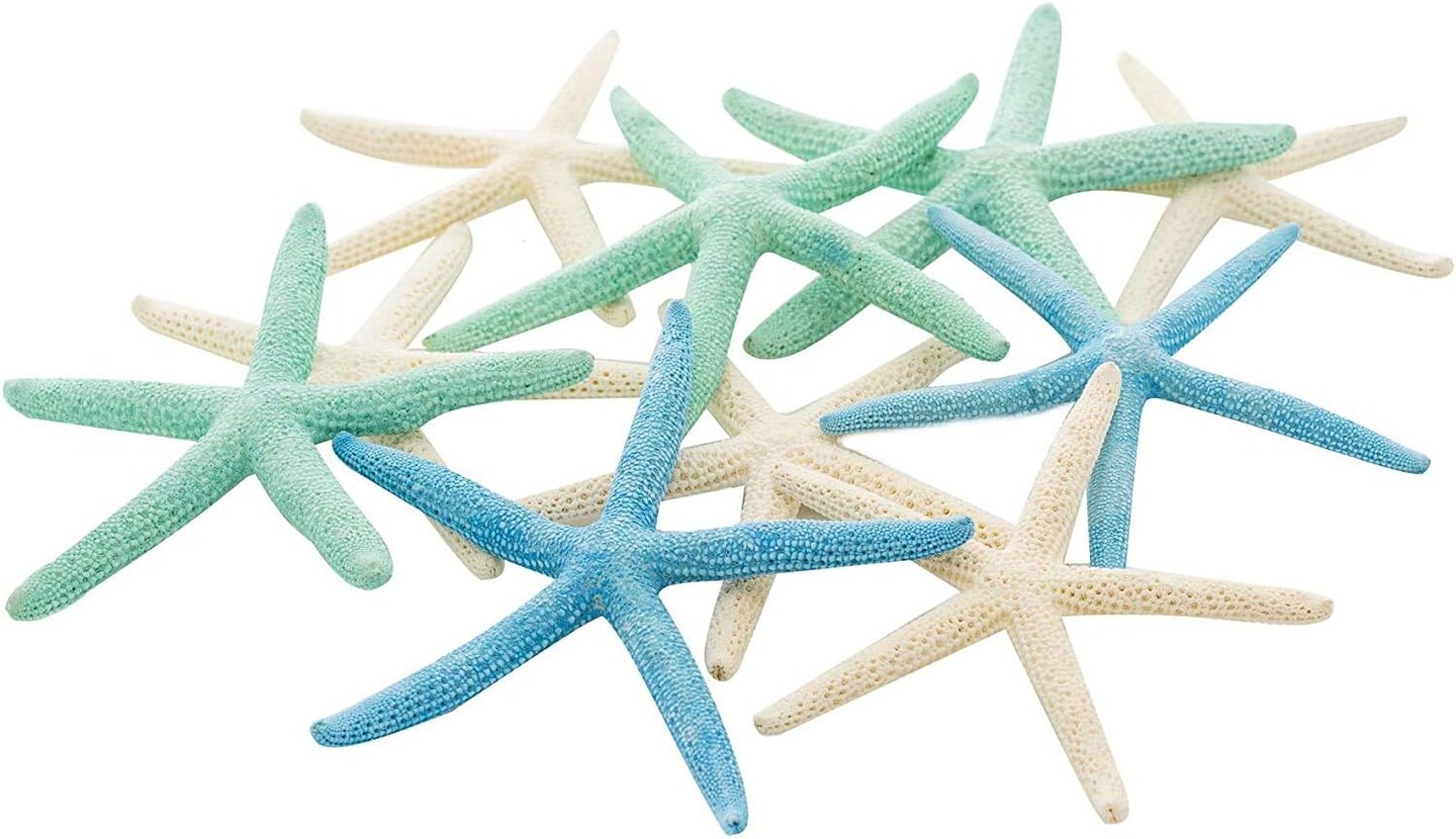 Starfish Decor 10 Blue Green &#x26; White Finger Star Fish 6-8 Inch Starfish for Crafts
