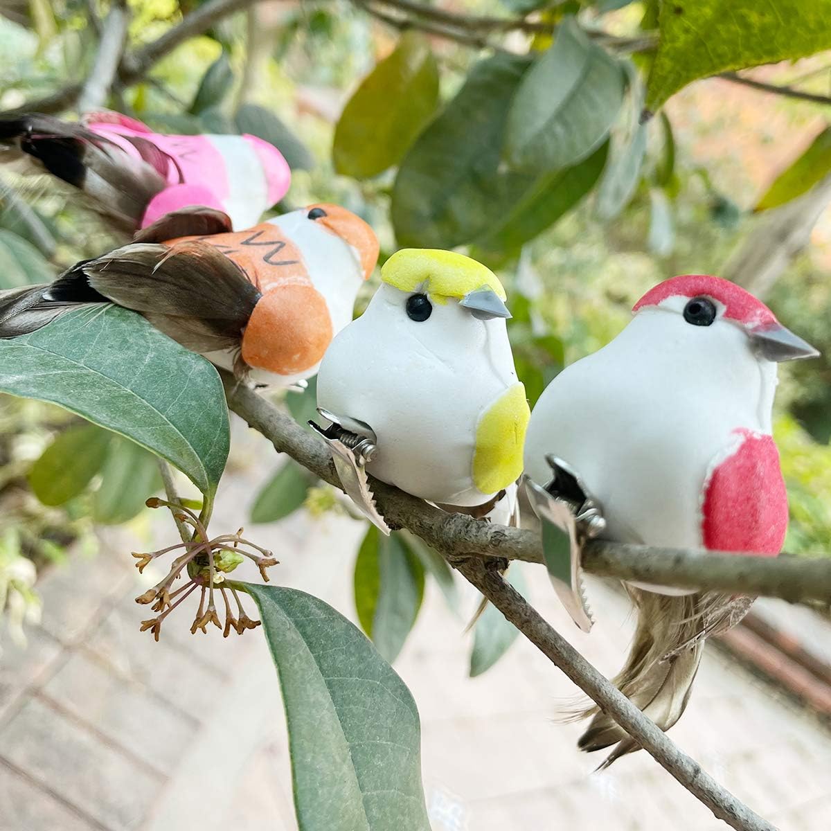 Decorative Realistic Clip Birds