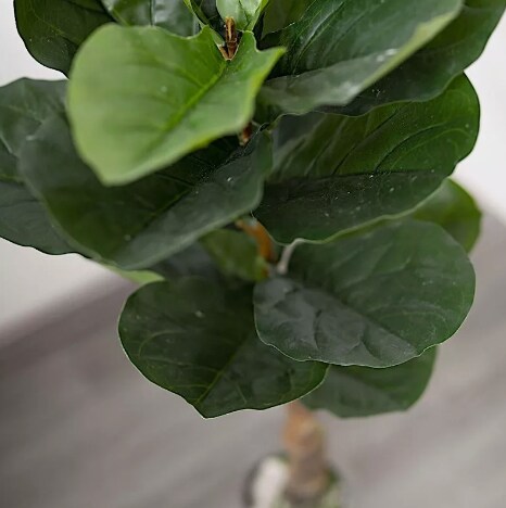 2 PCS 3 Feet Green Artificial Fig Tree