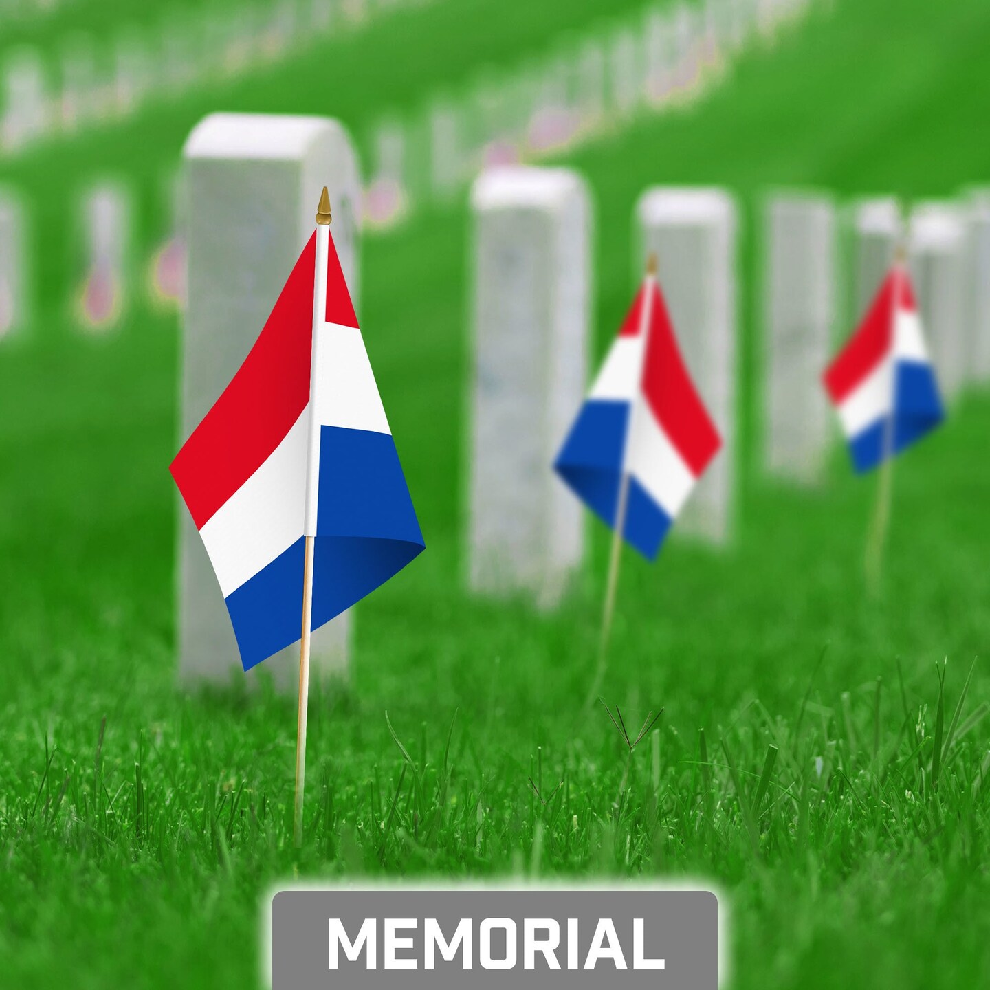 G128 12 Pack Handheld Netherlands Dutch Stick Flags | 8x12 In | Printed 150D Polyester, Country Flag, Solid Wooden Stick, Spear Gold Tip