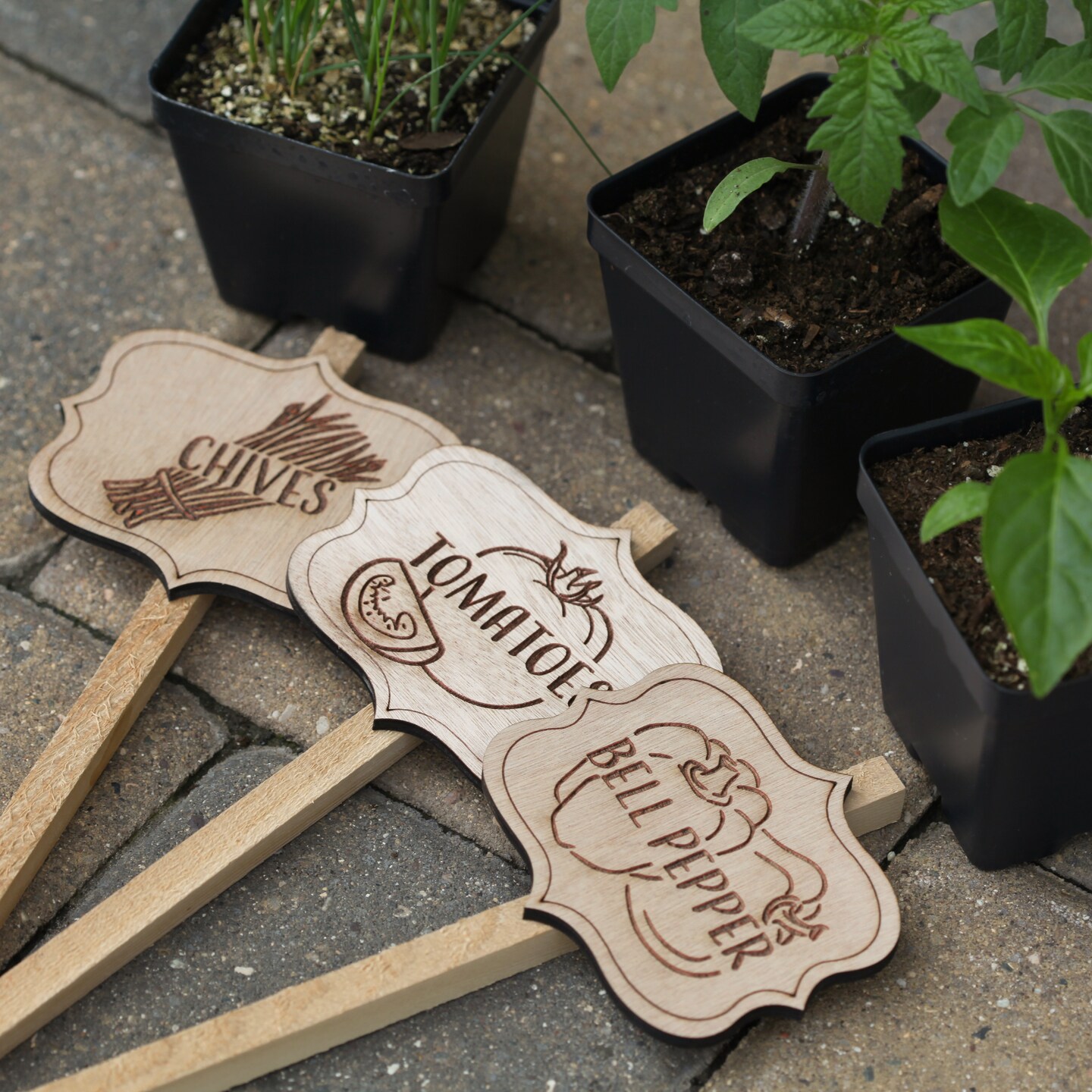 Vegetable Garden Markers