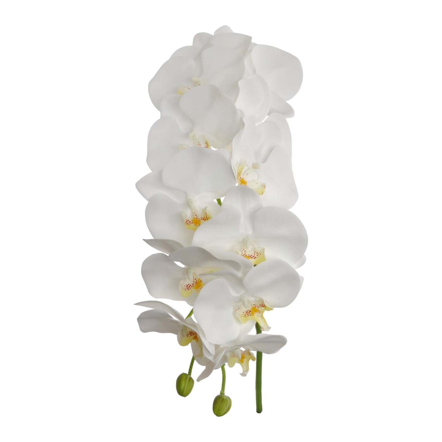 41-Inch White Phalaenopsis Orchid Stem - Lifelike Silk Flowers, Ideal for Bouquets, Floral Arrangements & Home Decor - Floral Home by Artificial Flowers